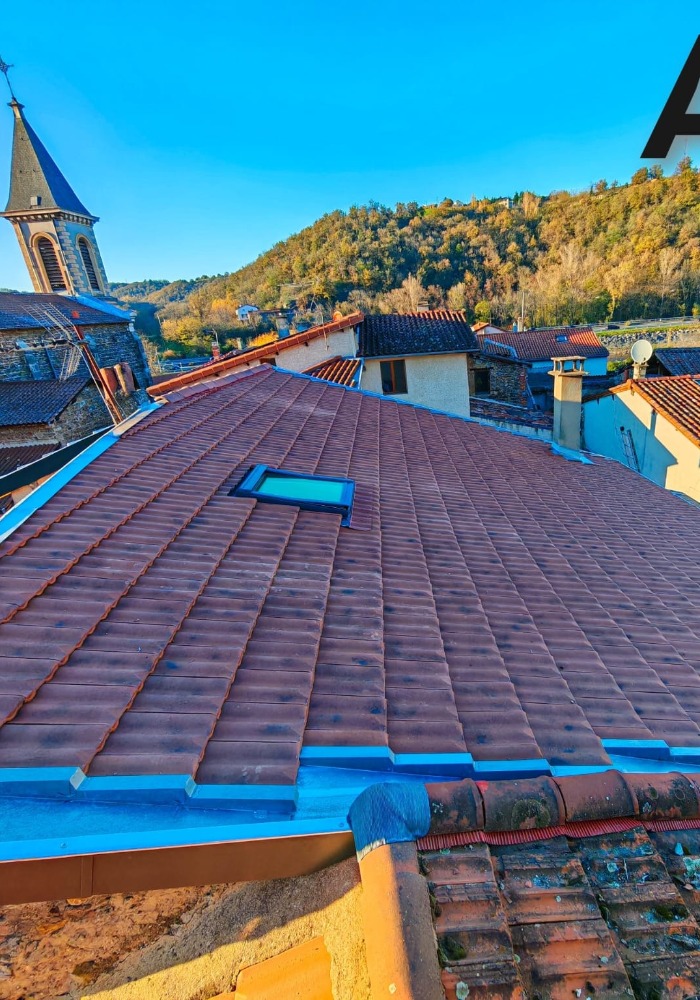 Couvreur zingueur du gier (7)-700x1000